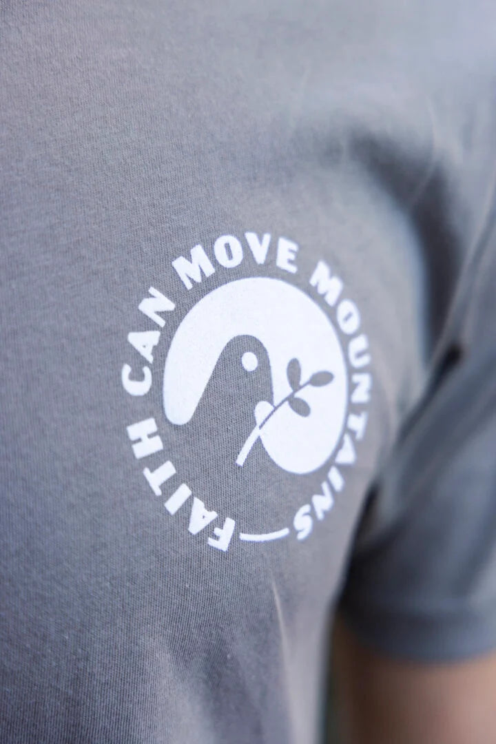 Faith Can Move Mountains