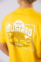 Mustard Seeds